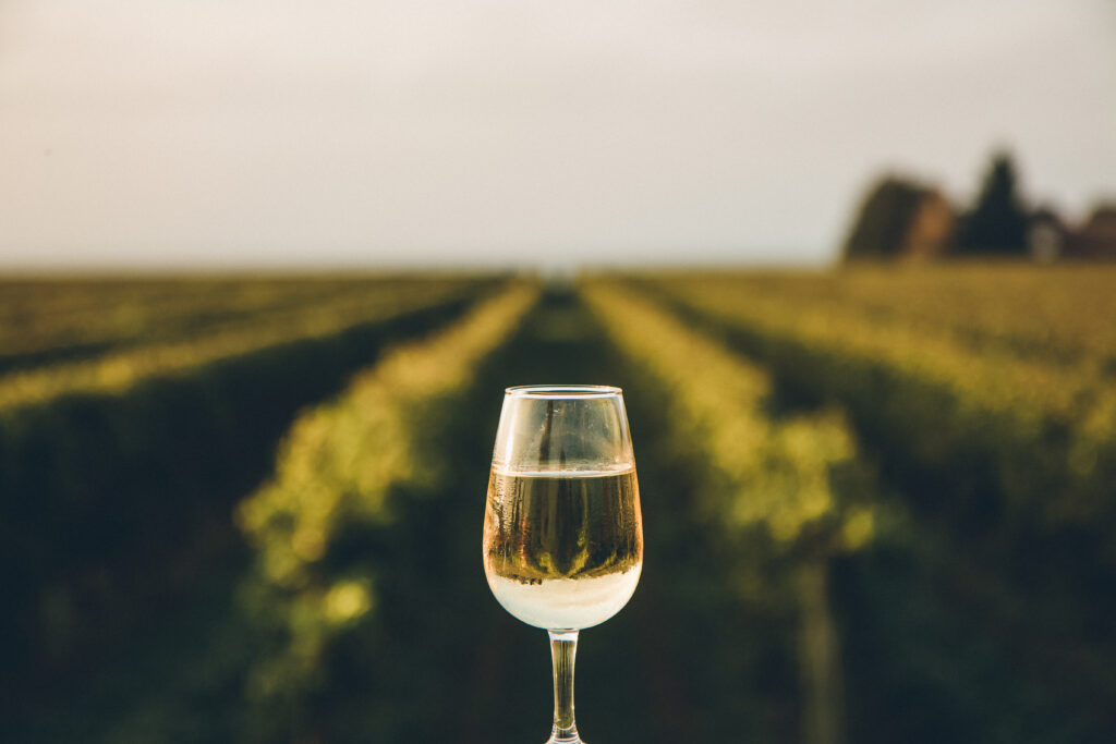 A fresh chilled glass of ice wine overlooking a Canadian vineyar